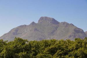 bergen, nationaal park tablemountain, kaapstad, zuid-afrika. foto