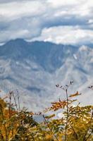 herfst in de bergen van krasnaya polyana foto