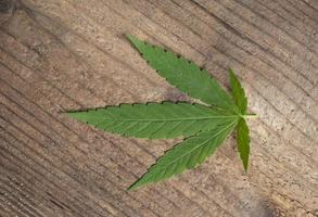 cannabisblad op houten ondergrond, marihuanabladeren cannabisplant hennep cbd thee