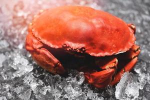 zeevruchten schaaldieren gestoomde rode krab of gekookte steenkrab, verse krab op ijs foto