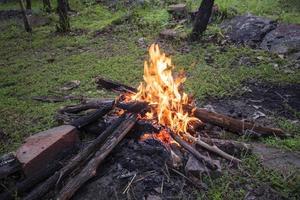 vuur kamperen brandend hout - vreugdevuur bos foto