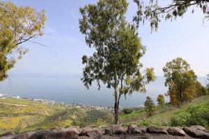 meer kinneret. de meer kustlijn is de laagste landmassa Aan aarde foto