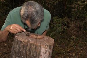 bioloog onderzoekt boomringen met een vergrootglas foto