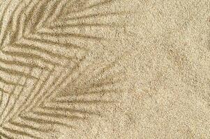 tropisch palm boom bladeren schaduw Aan strand zand achtergrond. minimaal zomer concept. een origineel achtergrond beeld met een Speel van licht en schaduw. creatief kopiëren ruimte. zomer stijlvol. exotisch vlak leggen. foto