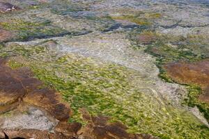 de kleur van water in de middellandse Zee zee in Ondiep water. natuurlijk abstract achtergrond. foto