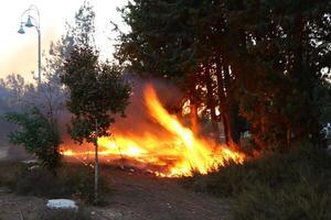 een brand dat brandwonden alles dat brandwonden. foto