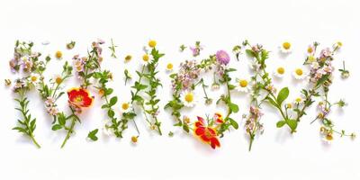 wilde bloemen decoratie bloemen flatlay Aan wit achtergrond foto