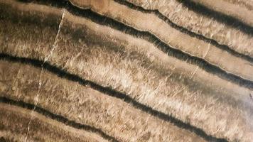 het oppervlak van zandsteen met golvende bruine aderen. sulfide agaat textuur. breed beeld van bruin natuursteen textuur sfaleriet. mooi golvend patroon van geslepen schalenblende steen close-up
