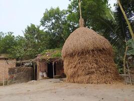 hoop van voorraad rijstveld rietje foto