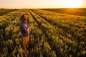 Afrikaanse boer is staand in zijn groeit tarwe veld. hij is tevreden met vooruitgang van planten. foto