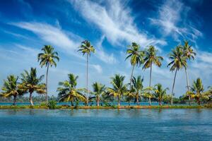 kerala binnenwateren met palmen foto