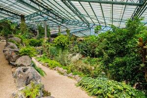 de verkoudheid huis estufa Fria is een kas met tuinen, vijvers, planten en bomen in Lissabon, Portugal foto