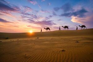 Indisch kameeldrijvers kameel bestuurder met kameel silhouetten in duinen Aan zonsondergang. jaisalmer, rajasthan, Indië foto