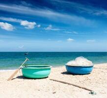 visvangst boten Aan strand. mui nee, Vietnam foto