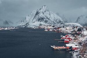 reine visvangst dorp, Noorwegen foto