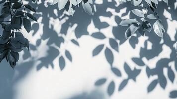 schaduwen van bladeren Aan wit achtergrond in de stijl van abstract natuur. foto