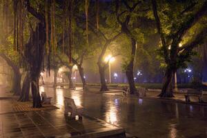 Guangzhou mensen park met mist Bij nacht, China foto