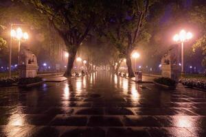 Guangzhou mensen park met mist Bij nacht, China foto