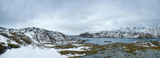 panorama van Noors fjord, lofoten eilanden, Noorwegen foto
