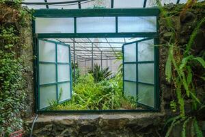 de verkoudheid huis estufa Fria is een kas met tuinen, vijvers, planten en bomen in Lissabon, Portugal foto