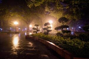 Guangzhou mensen park met mist Bij nacht, China foto