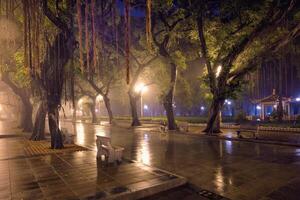 Guangzhou mensen park met mist Bij nacht, China foto