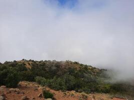 adembenemend natuurlijk schoonheid van abha in saudi Arabië in de zomer seizoen. hoog bergen, groen, laag wolken en mist zijn de schoonheid van abha. foto