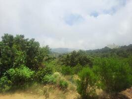 adembenemend natuurlijk schoonheid van abha in saudi Arabië in de zomer seizoen. hoog bergen, groen, laag wolken en mist zijn de schoonheid van abha. foto