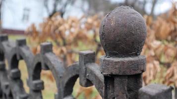 fragment van een gietijzeren hek close-up. een oud gietijzeren smeedijzeren hek met artistiek smeedwerk tegen de achtergrond van een herfst stadspark. selectieve aandacht. foto