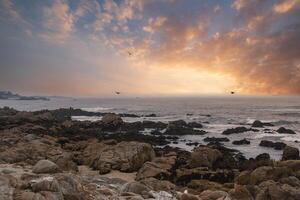 rustig kust- zonsondergang tafereel, 17 mijl drijfveer, Californië, Verenigde Staten van Amerika foto