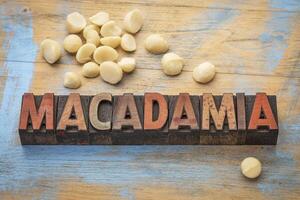 macadamia noot concept foto