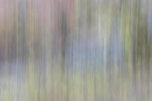 natuur beweging vervagen abstract foto