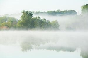 heel mooi landschap met mist en groen natuur in de republiek van Moldavië. landelijk natuur in oostelijk Europa foto