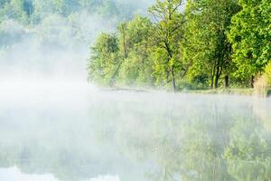 heel mooi landschap met mist en groen natuur in de republiek van Moldavië. landelijk natuur in oostelijk Europa foto
