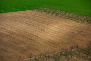 landschap met mooi natuur in de dorp in de republiek van Moldavië. land leven. Moldavië, een klein land met een groot hart in oostelijk Europa. foto