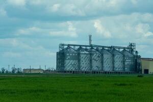 graanschuur lift, zilver silo's Aan agro fabricage fabriek voor verwerken drogen schoonmaak en opslagruimte van agrarisch producten, meel, granen en korrel. een veld- van groen tarwe. foto