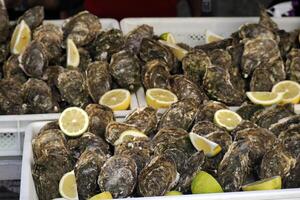 oester vers vis zeevruchten Bij ortigia Syracuse Sicilië vis markt Italië foto
