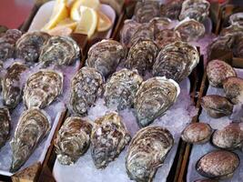oester vers vis zeevruchten Bij ortigia Syracuse Sicilië vis markt Italië foto