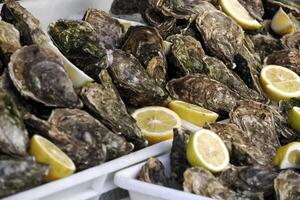 oester vers vis zeevruchten Bij ortigia Syracuse Sicilië vis markt Italië foto