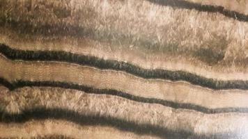 het oppervlak van zandsteen met golvende bruine aderen. sulfide agaat textuur. breed beeld van bruin natuursteen textuur sfaleriet. mooi golvend patroon van geslepen schalenblende steen close-up