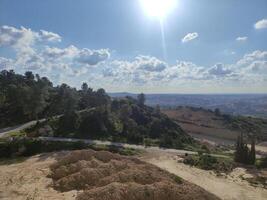 wilde bloemen velden baden in zonlicht in de buurt emek haela, Israël foto