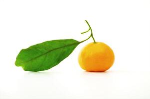 rijp mandarijnen Aan de wit achtergrond foto