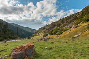 Tien shan bergen. assy plateau. Kazachstan foto