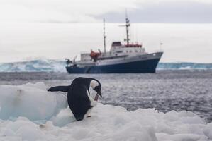 expeditie schip, reis in antarctisch landschap, paulet eiland, in de buurt de antarctisch schiereiland foto