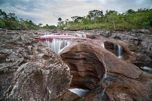 cano kristallen is een rivier- in Colombia dat is gelegen in de Sierra de la macarena, in de afdeling van meta. het is beschouwd door veel net zo de meest mooi rivier- in de wereld foto