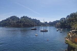 baai van portofino visie Aan zonnig dag foto