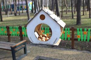 walnoten voor eekhoorns in een vogel voeder in de buurt een speelplaats in een park Oppervlakte foto