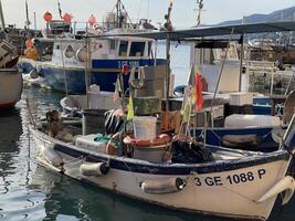 oud traditioneel vissers boten in jachthaven van camoglia Italië. kust baai met geschiedenis van visvangst dorp. foto