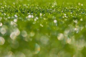 bokeh groen gras natuur foto