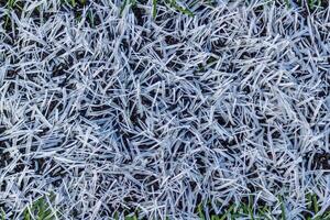 wit lijn Aan voetbal veld- gras foto